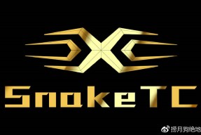 开云-关于Karsa关键节点战术调整，TL带队取胜！的信息